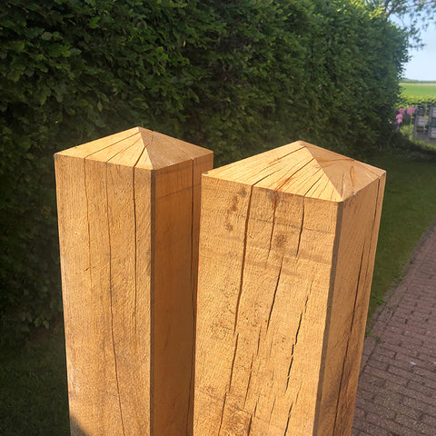 Kastanje Poort - Rustiek - Dubbel